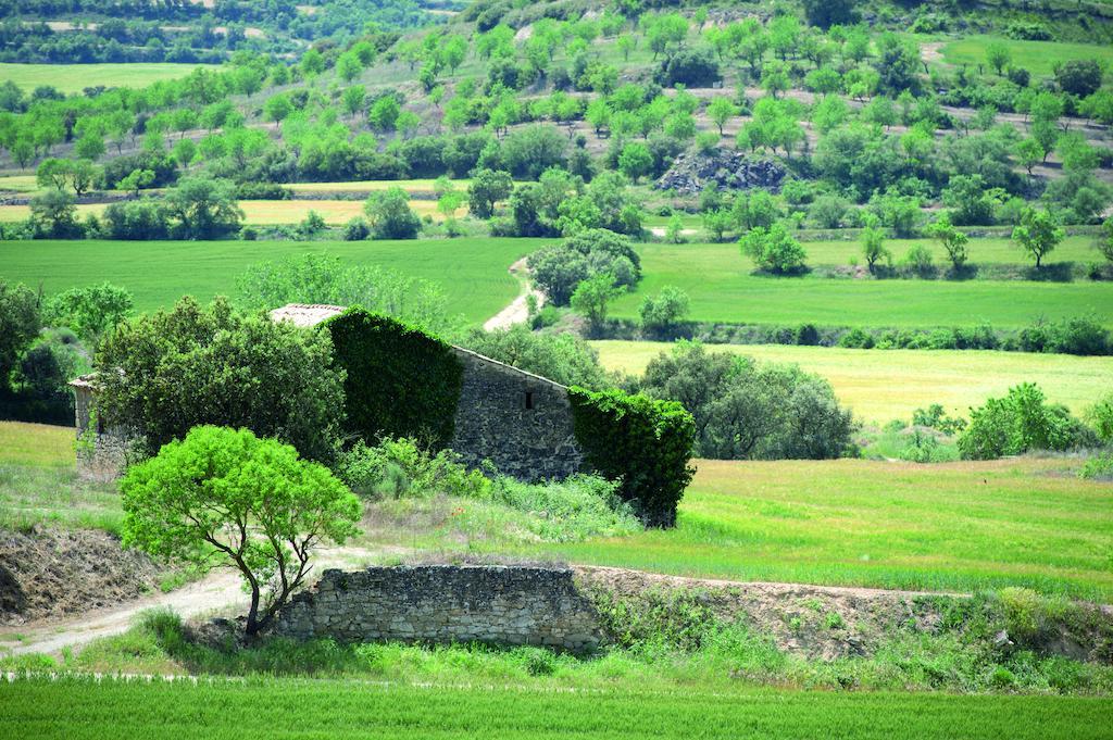 Hostal Palouet de Segarra Extérieur photo